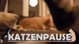 Community-Interaktionen, Katz…