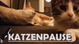 Eheleben und Streaming-Erfahr…