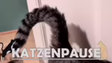 Filme, Katzen und WoW Hardcore