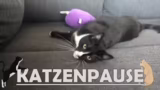 Gewichtsdecken, Katzenstreu u…