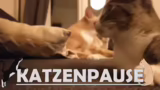 Neues Twitch-Feature und Lob…