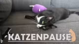 Diskussionen über Community-N…