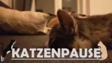 Abschweifung zu Final Fantasy…