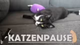 Technische Probleme und Hellc…