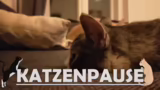 Lamulana 2, Katzen und Spielc…