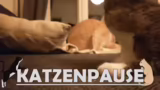 Meditation, Atemtechniken und…