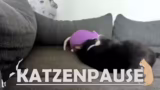Wertschätzung sozialer Medien…
