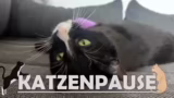 Partnerschaft mit EMP und Gam…