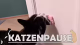 Abschluss von Assassin's Cree…