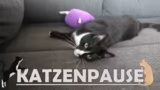 Erinnerungen an Chippendales,…