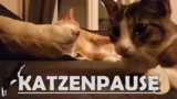 EMP Partnerschaft und Baby St…