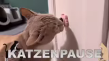 Verschiebung von Assassin's C…