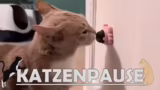 Rennen, Pausen und Spielmecha…
