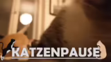 Abstecher zu 'Kinikuneko' und…