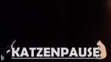 Nachbarschaftliche Probleme u…