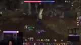 Professionelles Streaming und…