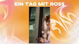 Analyse von Rossmann Centaurs…