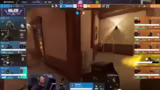 Dark Zero vs. NIP: Strategisc…