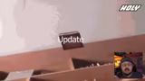 Just Chatting