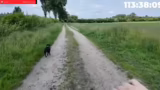 Spaziergang und Überlegungen…