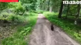 Tierarztbesuch für Chiara und…