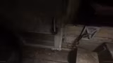 Just Chatting