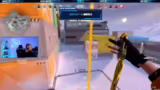 Skins, Partnerschaft und VP