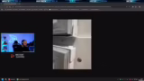 Stream-Start und Vorbereitung