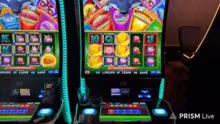 18+ IRL CASINO !bonus
