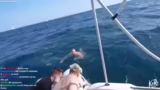 Pilztest, Scuba-Driving und P…