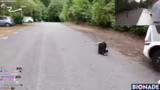 Drohnenflug vom Wohnmobildach…