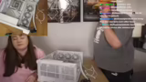 IQ Link System, Daisy-Chainin…