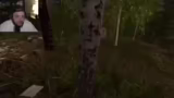 Finnish Cottage Simulator