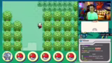 Start des Smaragd Randomizer…