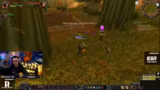 Questing und Leveling-Mechani…