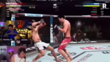 Erlebnisse mit UFC und Ankünd…