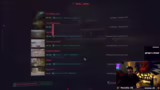 Bugs und Probleme im Spiel