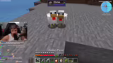 Wave-Fight und Tierfarm