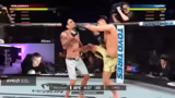 Online UFC-Kämpfe zur Vorbere…