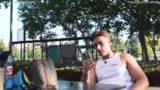 Diskussionen über Tiger, Only…