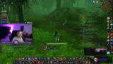 Gruppen farmt Schlüssel und T0.5-Ausrüstung in World of Warcraft