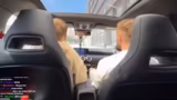 Fahrt nach Hamburg und Vorber…