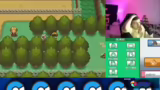 Käferturnier und Pokémon-Entw…