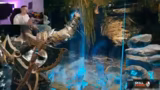 God of War