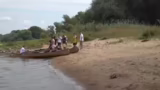 Kuba's Schwimmkünste und Team…