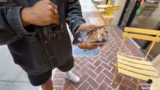 Schmucksuche in New Orleans