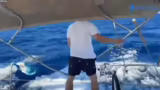 Segelerlebnisse, Windstärken…