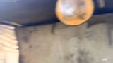 MITTELALTERMARKT MIT NOVA BIG CONTENT T…