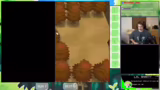 Items, Trainer und Team Plasma
