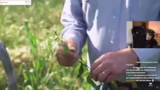 Ehemaliger Hühnerfarmer packt…
